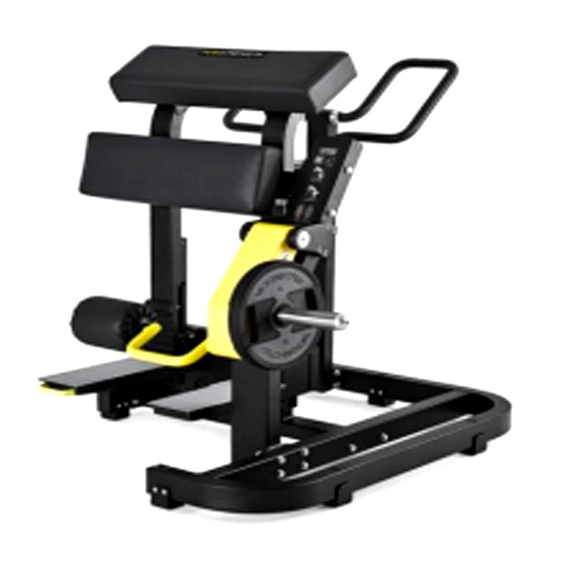 SS-123 Vertical Trainer  Mona Lisa Health Care