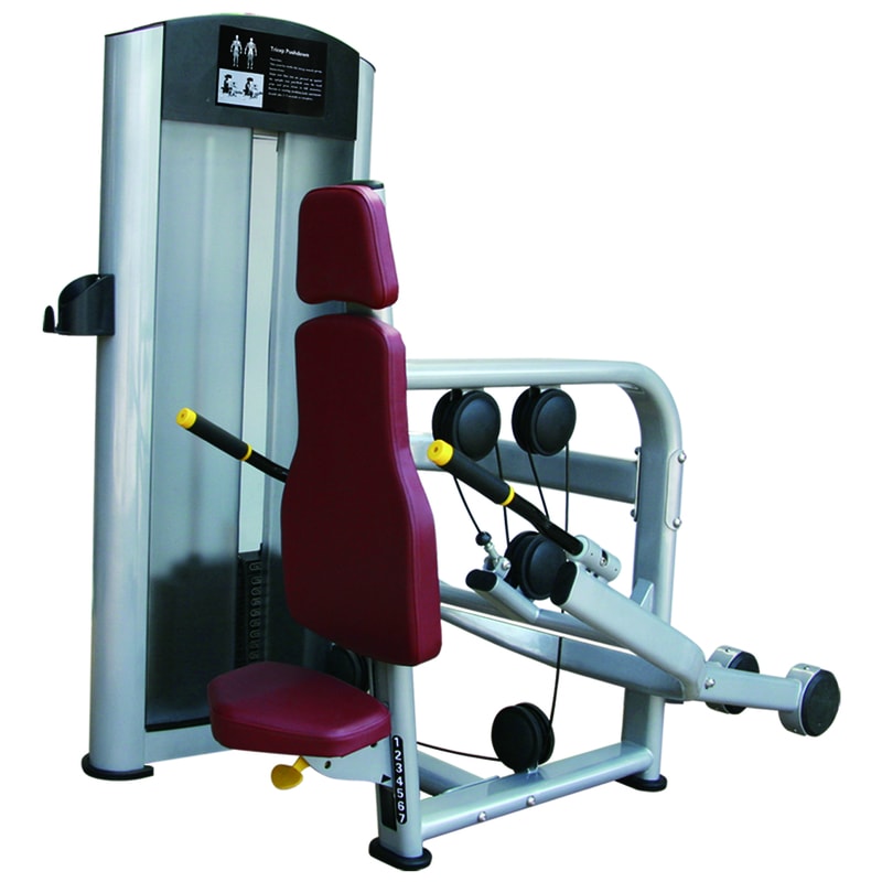 ML8807 Seated Tricep Extention Mona Lisa Health Care